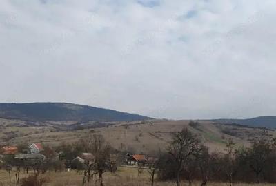 Teren 2282 mp, extravilan, localitatea Fasca, comuna Varciorog, jud. Bihor - 1