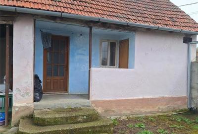 Casă cu Teren 4636 Mp în Central - 13