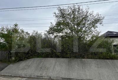 Teren 1895 mp, in Carcea, front 21 ml, toate utilitatile - 3