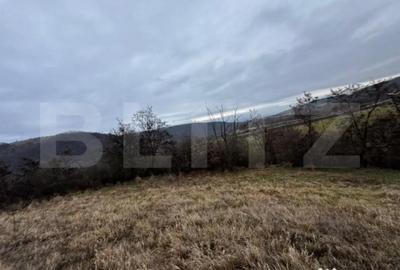 Teren de 4300 mp, în Vințu de Jos - 5
