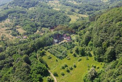 DE VANZARE CASTEL IN MARAMURES - 12