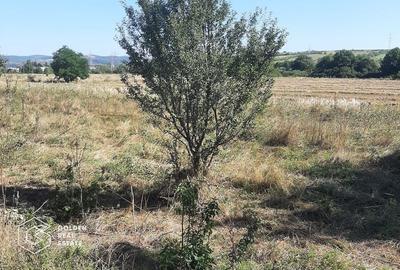 Teren Construcții intravilan de 1300 mp, în Exterior Vest - 3