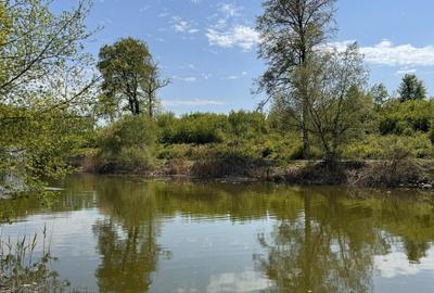 REL4001152 Teren Intravilan 10.000 mp Silistea Snagovului de Vanzare - 4