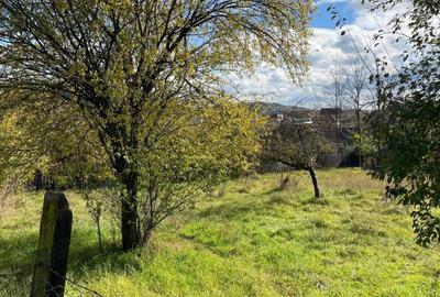 Spațiu comercial, în Miheșu de Câmpie - 2