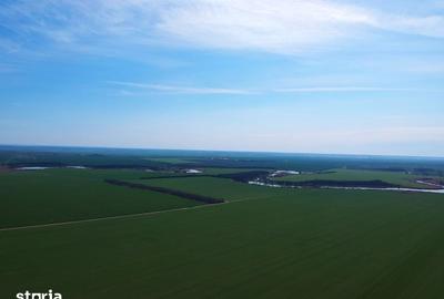 Teren de 1000 mp, în Vasilați - 3