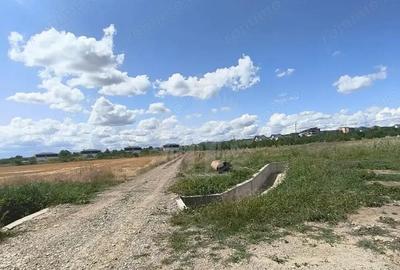 Teren de 7100 mp, în Păulești - 5