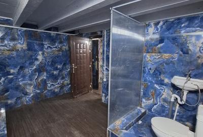 Casă cu 7 camere cu Teren 99 Mp în Gara de Nord - 3