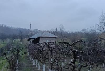 Casă individuală cu 3 camere cu Teren 2800 Mp în Boțești - 9