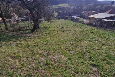 Teren de 1700 mp, în Bozeni - 3