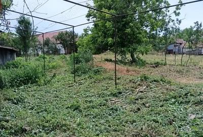 Casă cu 2 camere cu Teren 2100 Mp în Roșia de Secaș - 7