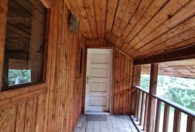 Balilesti - Stradal, casa spatioasa, 4600 mp teren intravilan - curte spatioasa - 12