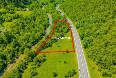 COMISION 0% Teren 3750mp / Sacele / DN1A / Potential turistic - 1