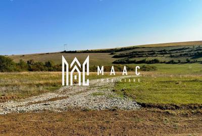 Teren agricol extravilan de 651 mp, în Rusciori - 4