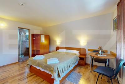 Casă individuală cu 18 camere cu Teren 765 Mp în Cernatu - 8