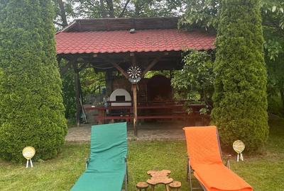 Casă cu 4 camere cu Teren 6000 Mp în Cornu - 5