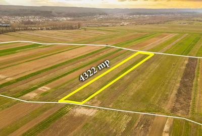 Teren de 4322 mp, în Mănești - 8