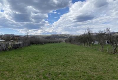 Teren în Pruni - 18