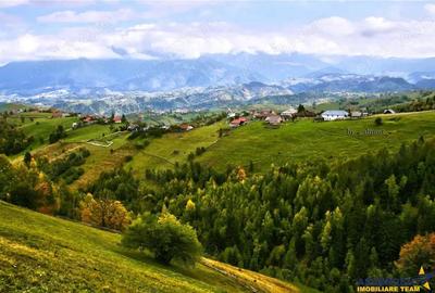 7.000 mp, pozitie spectaculoasa, fara vecini, Fundatica, Brasov - 1