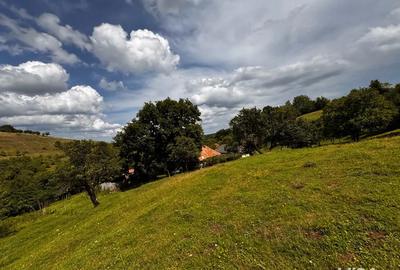 Casa de vanzare + 30.000 m teren - 3