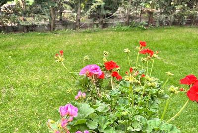 Casă cu 4 camere cu Canalizare în Balotești - 8