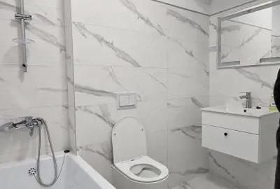 Penthouse de inchiriat Craiovei - 7