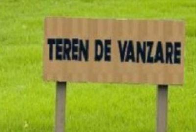 Spațiu comercial, în Sârbi - 1