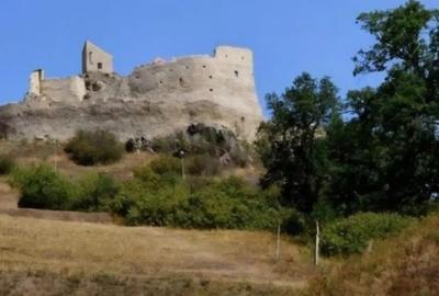 Teren de 14000 mp, în Rupea - 3