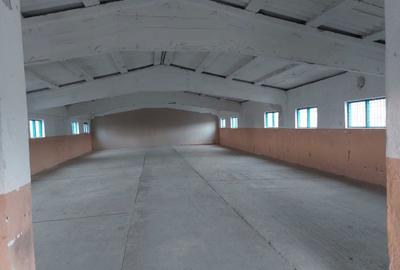 Teren de 2007 mp, în Exterior Vest - 5