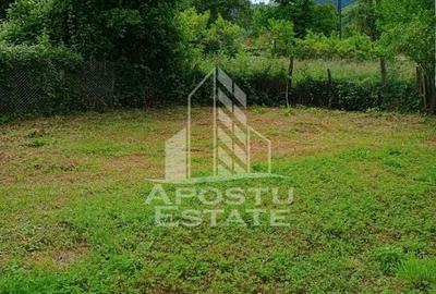 Casa bătrânească de vânzare | 4 camere | Hunedoara | Micănești - 9