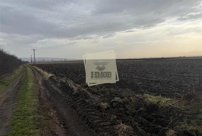 Teren agricol extravilan de 20300 mp, în Șura Mică - 4