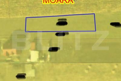 Teren de 895 mp, în Moara - 1