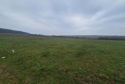 Teren extravilan de 10070 mp, în Lipoveni - 4