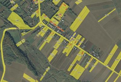 Casă cu 3 camere cu Teren 2000 Mp în Talpa - 5