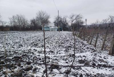 Casă cu 2 camere în Cozmești - 3