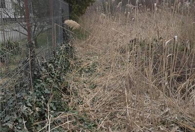 Teren de 1150 mp, în Sântana de Mureș