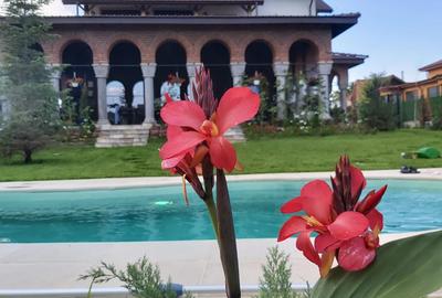 Casă individuală cu 8 camere cu Piscina în Corbeanca - 3