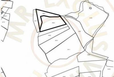 Terenuri 12.225 mp - Ramnicu Valcea, Aranghel - 3