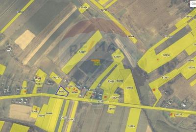 Teren Construcții intravilan de 2036 mp, în Pădureni (Șendriceni) - 2