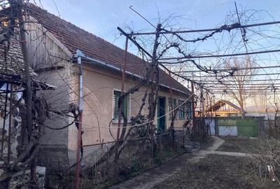 Casă cu Teren 3646 Mp în Aștileu - 5