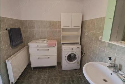 Casa individuala pe parter Sagului-Liviu Rebreanu - 12