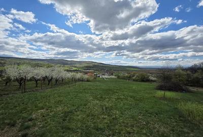 Teren de 5000 mp, în Bârsău - 2
