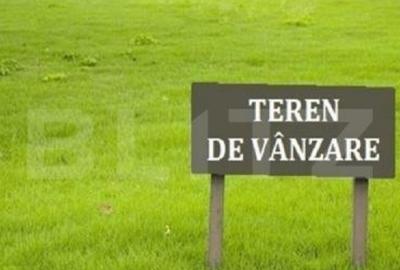 Teren extravilan situat in Iacobeni de 4.666 mp - 1