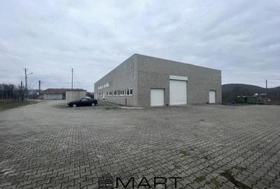 Hala industriala 1000mp utili + birouri + teren 2500mp Selimbar - 2