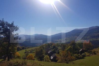 Teren de 16800 mp, în Central