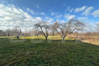 Teren de 2366 mp, în Bercu Roșu