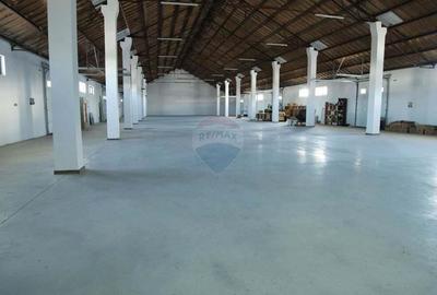 Hale industriale de inchiriat in Tg Neam? - 3