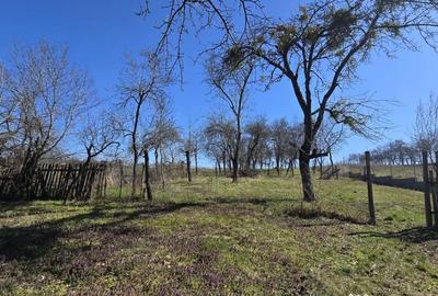 Casă cu 4 camere în Mânău - 3