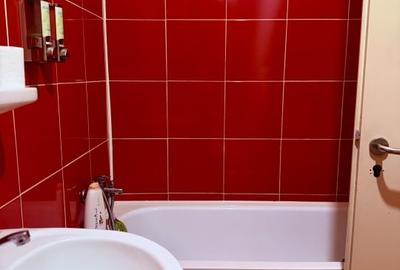 Apartament 2 camere , etaj 2 ,zona Porii - 4