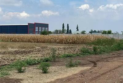 Teren de 8000 mp, în Măgurele - 9