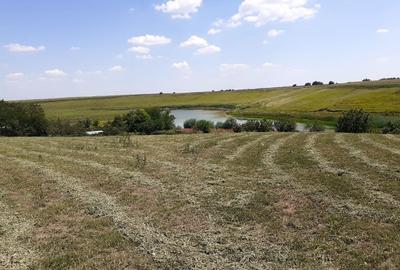 Teren extravilan de 6314 mp, în Belciugatele - 4